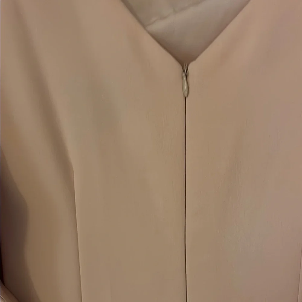 Betsy & Adam Pink Midi Dress - Picture 6 of 9